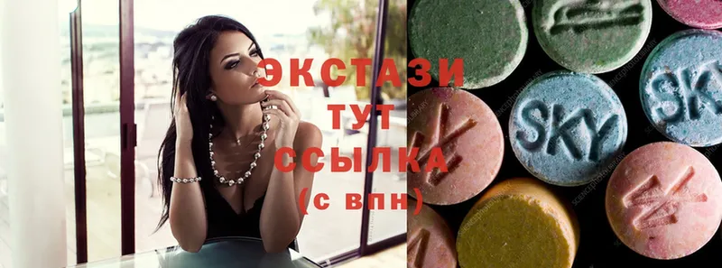 mega ссылка  Олонец  Ecstasy Philipp Plein 